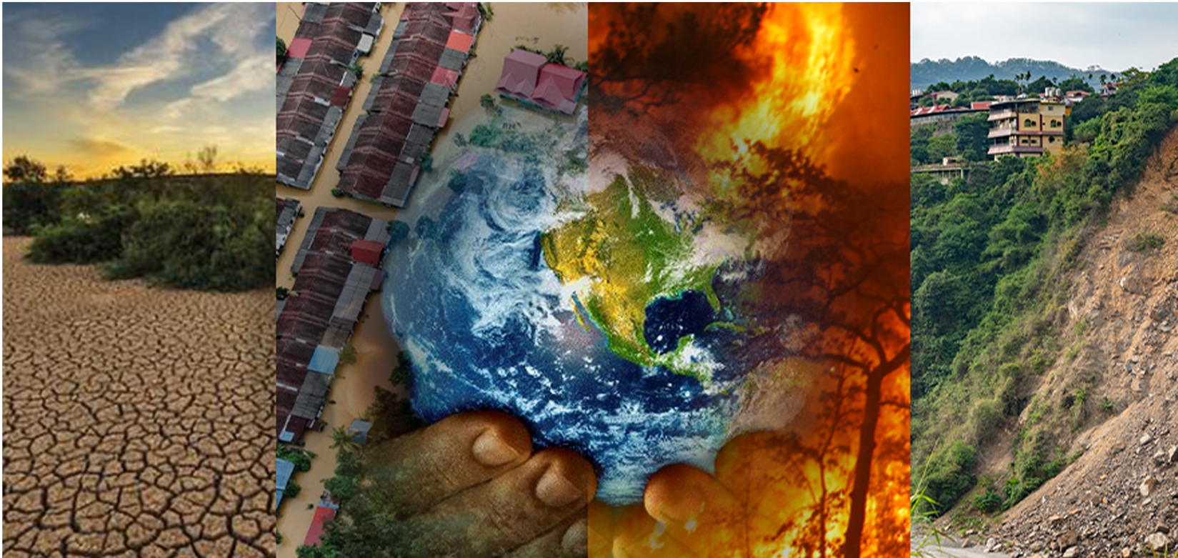 Disaster Management