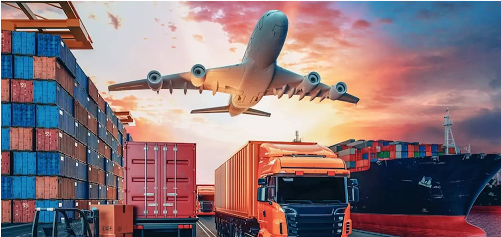 Transport Sector